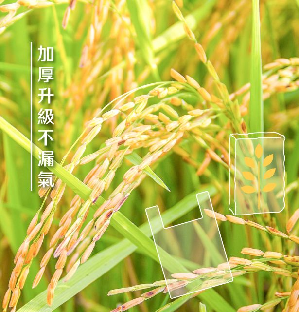稻米農民照片