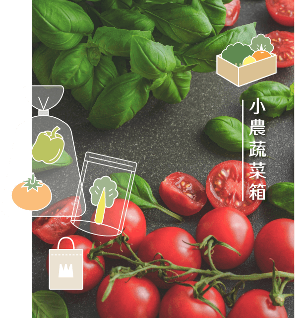 蔬果農民照片
